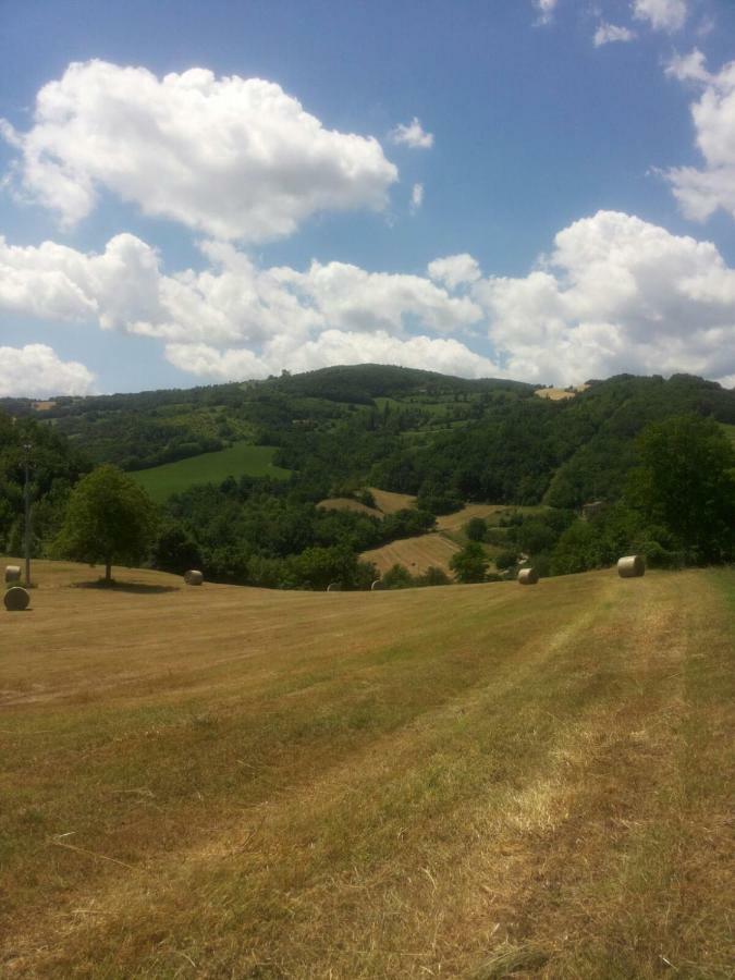 Ferienwohnung App.To Pian Del Ronco Pellegrino Parmense Exterior foto